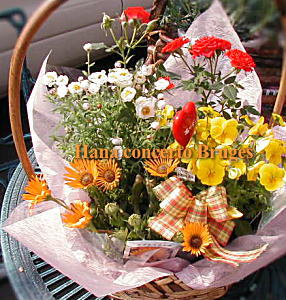 ミニバラ、花かんざしなど